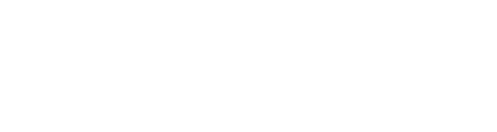 LVG ESPORTS